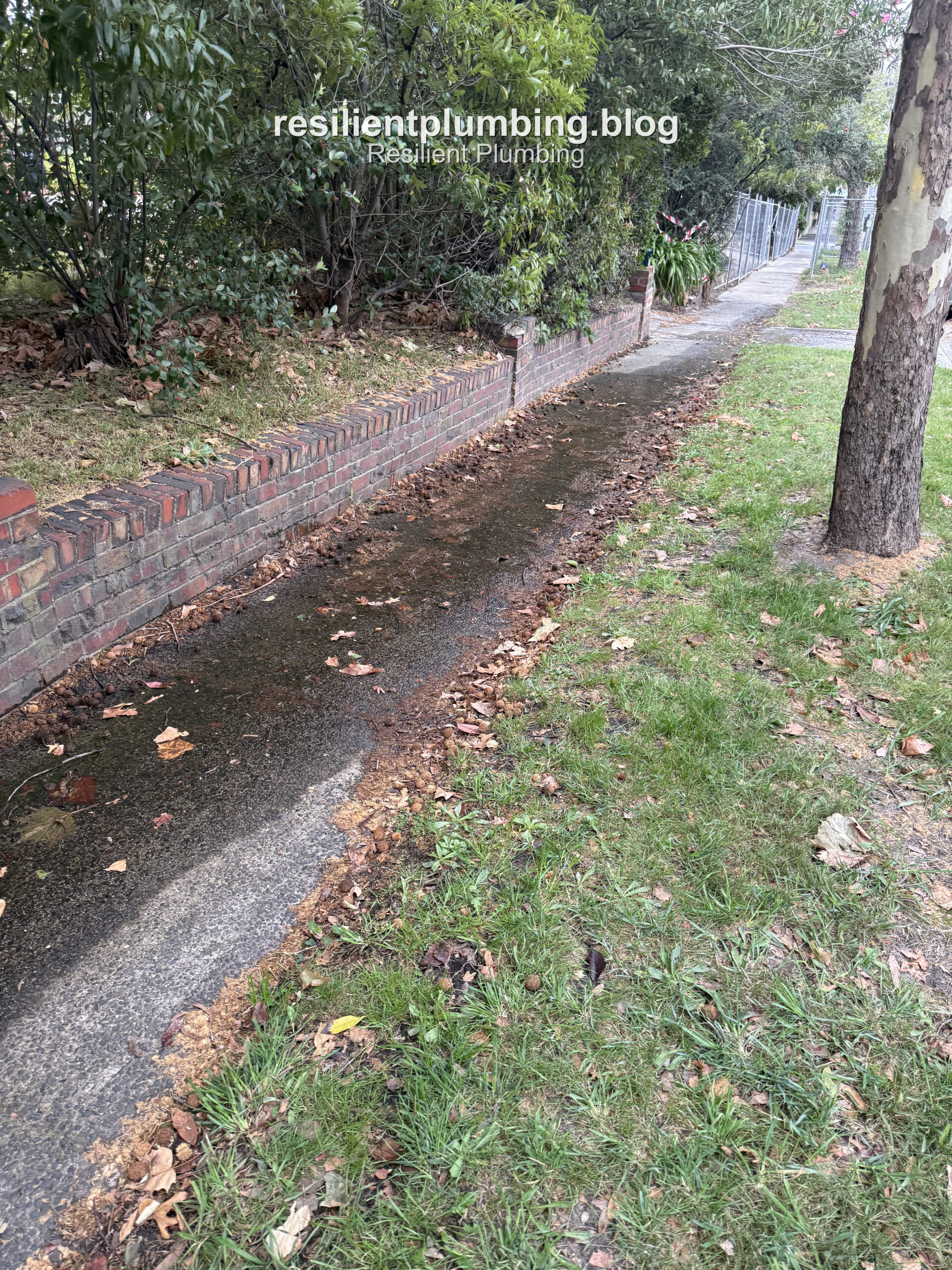 Water tracking along a footpath in Camberwell from a cracked underground pipe