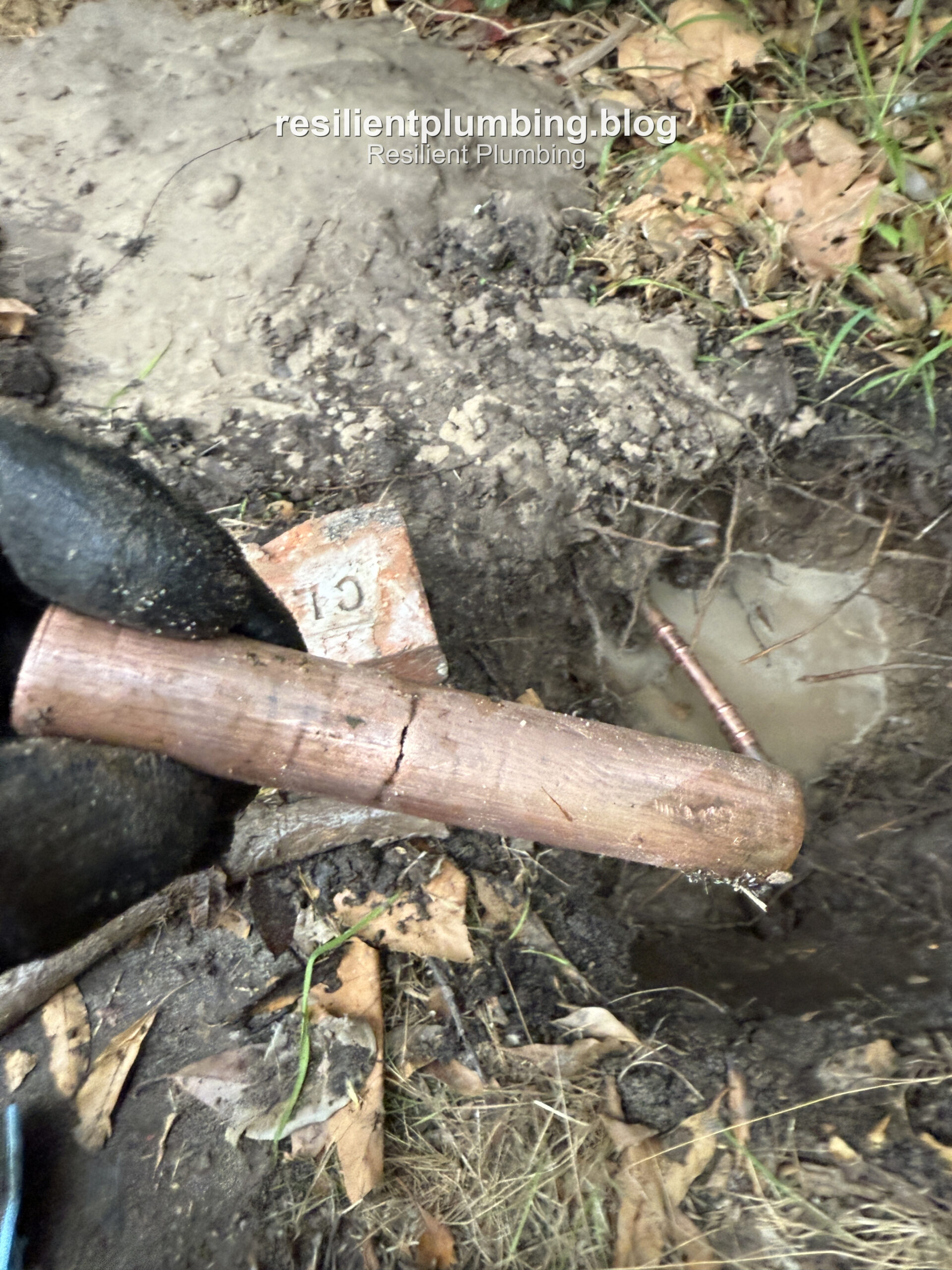Close-up of a copper water pipe cracked by tree root pressure in Camberwell
