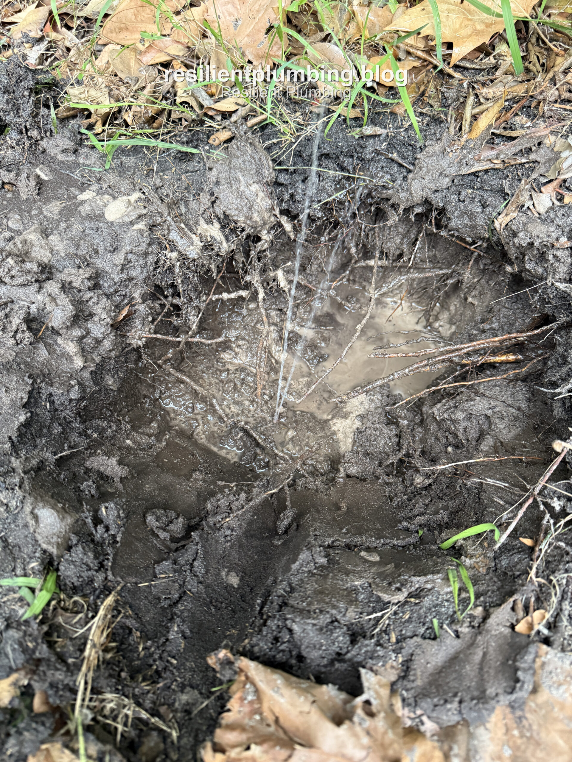 Water trickling from a cracked pipe into an excavated garden bed