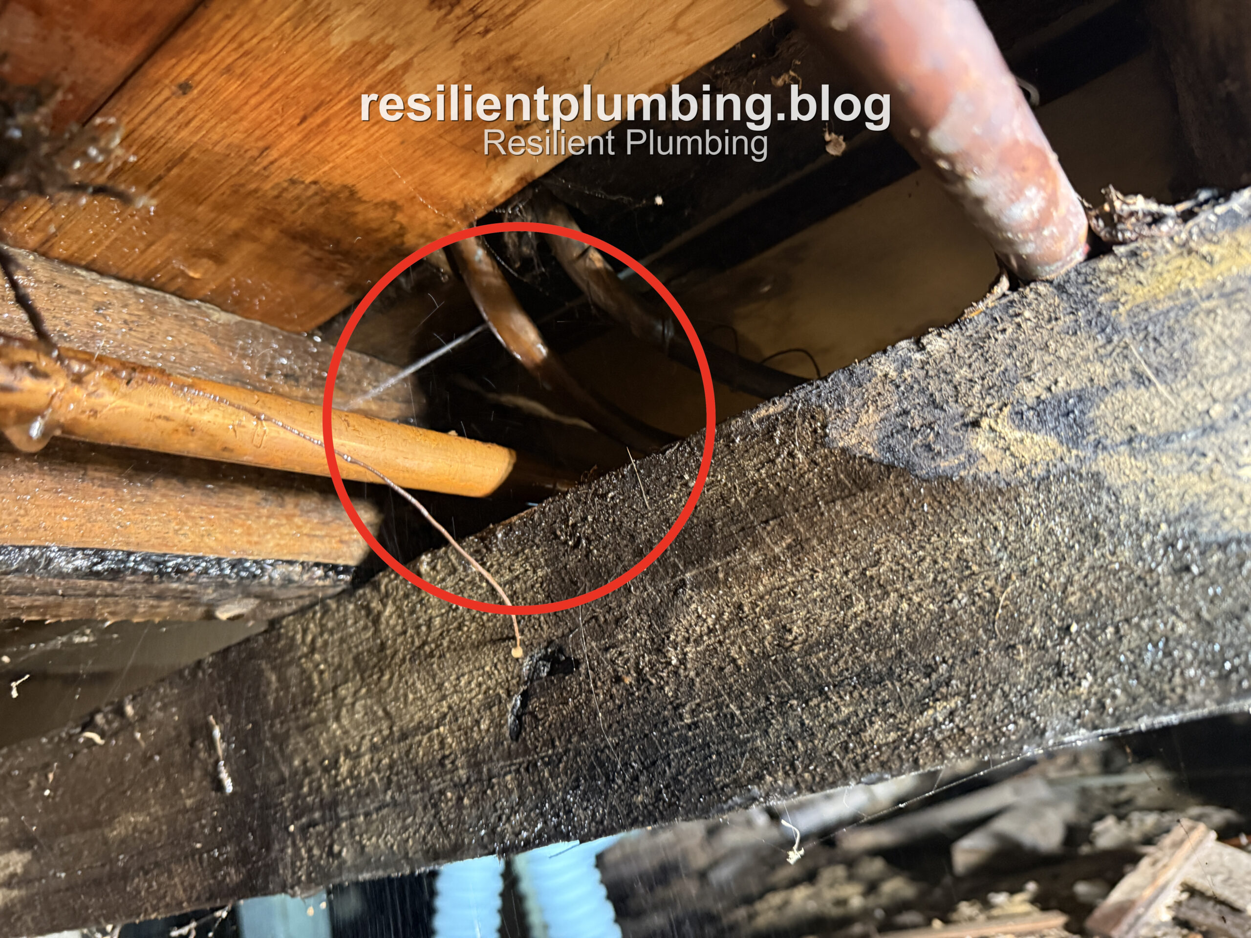 Existing lagged copper pipework and other services in the subfloor