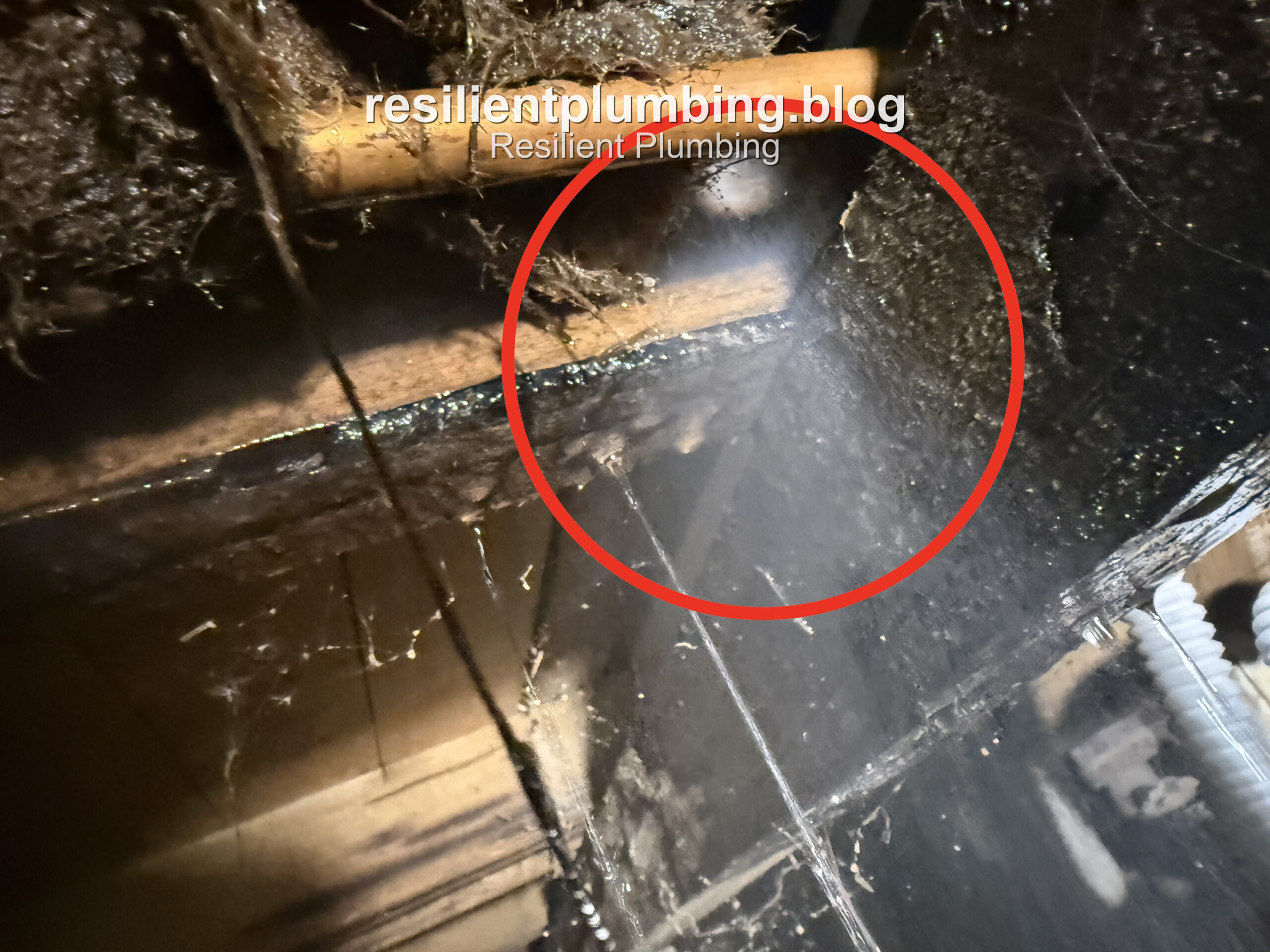 Subfloor area identified as the source of the hissing sound