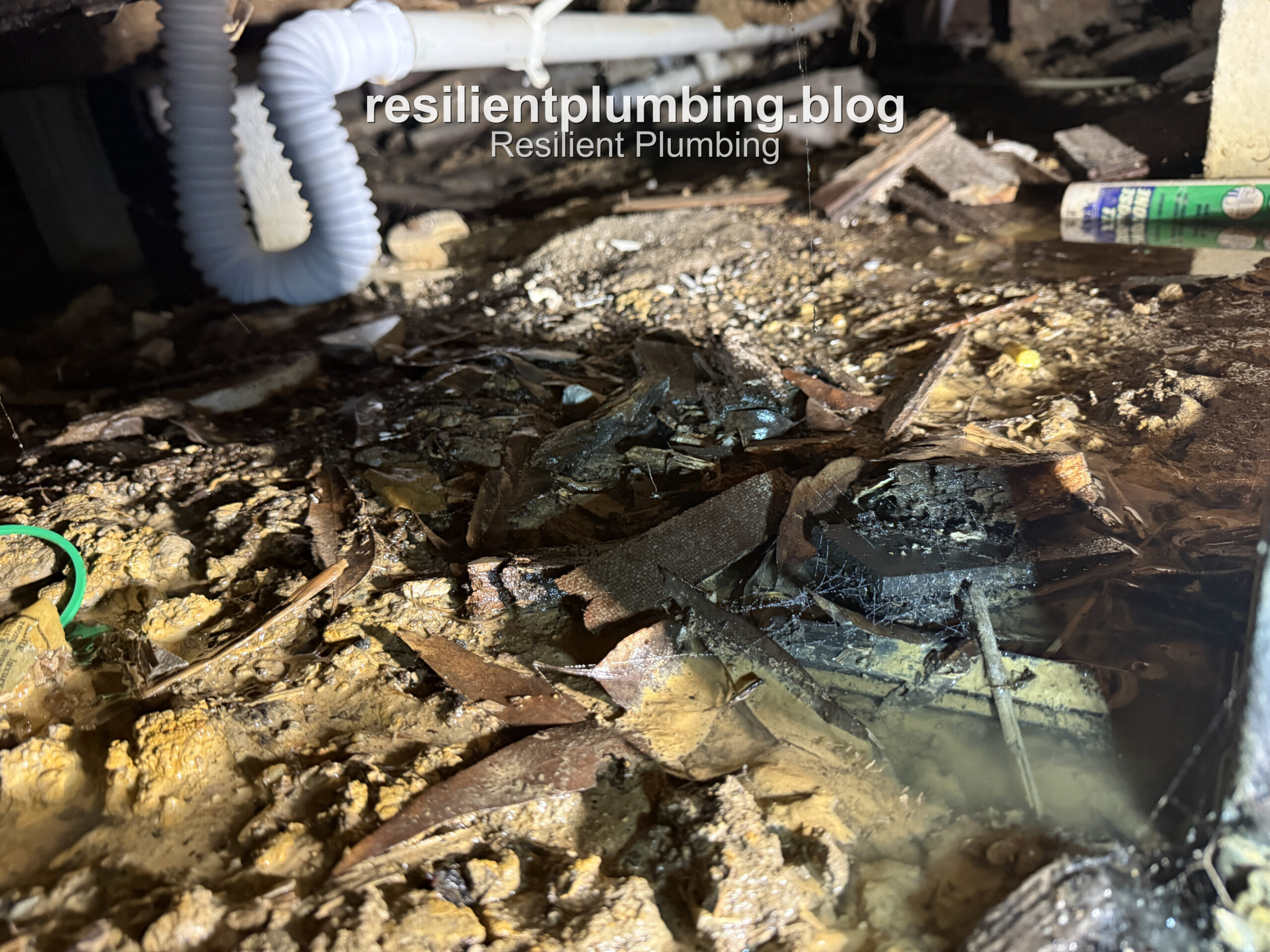 Wet, muddy soil in the subfloor confirming the burst pipe location